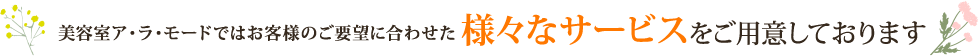 美容室ア・ラ・モードではお客様のご要望に合わせた様々なサービスをご用意しております