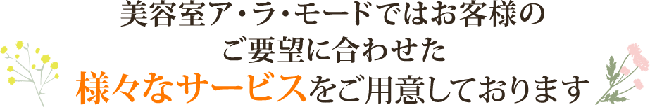 美容室ア･ラ･モードではお客様の ご要望に合わせた様々なサービスをご用意しております